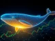 Digital whale swimming upward through candlestick charts and network nodes representing XRP accumulation