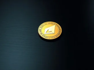 Close-up of a Monero (XMR) coin on a dark metallic surface