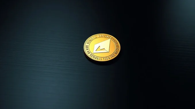 Close-up of a Monero (XMR) coin on a dark metallic surface